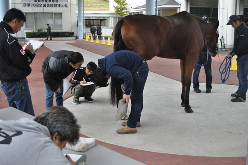 DSC_0770.JPGのサムネイル画像